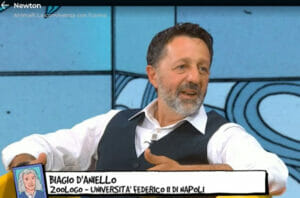 Biagio D'Aniello - Università Federico II di Napoli
